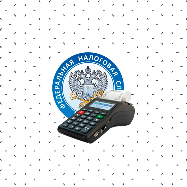 <span style="font-weight: bold;">Регистрация в ФНС</span> 